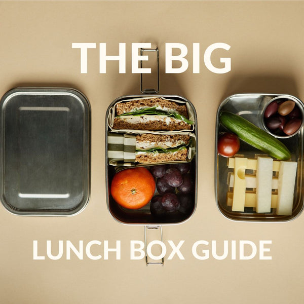 The BIG lunch box guide