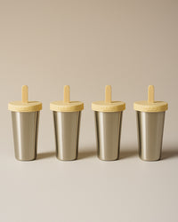 ICE LOLLY MAKERS 4-PACK - Sun light