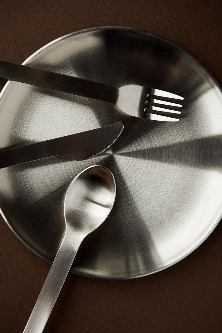 REUSEABLE PICNIC PLATES 4 PCS. - Steel