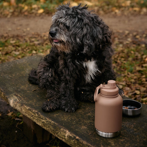 Haps Nordic Haps Go bottle Water bottle Mocca