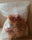 REUSABLE SNACK BAG 5 LITER - Transparent Terrazzo