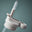 Haps Nordic Straw Lid for 700ml waterbottle&brush Lid Oyster Grey
