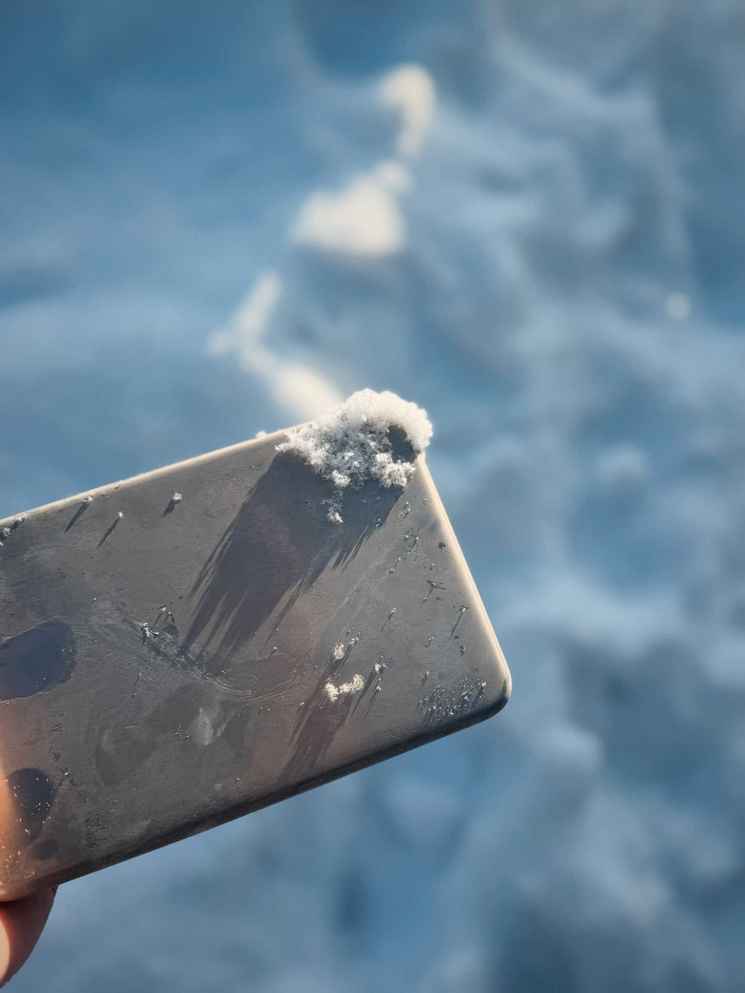 PICNIC COOLER - Steel