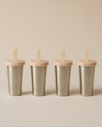 ICE LOLLY MAKERS 4-PACK - Blush